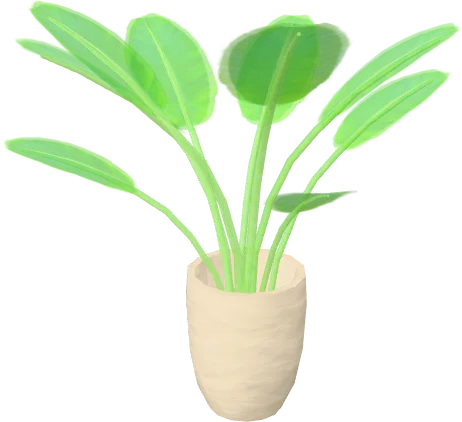 Banana Plant